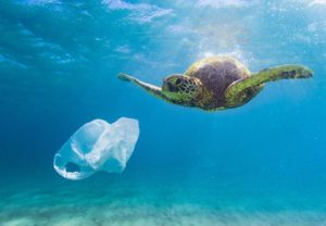pollution rts rethink