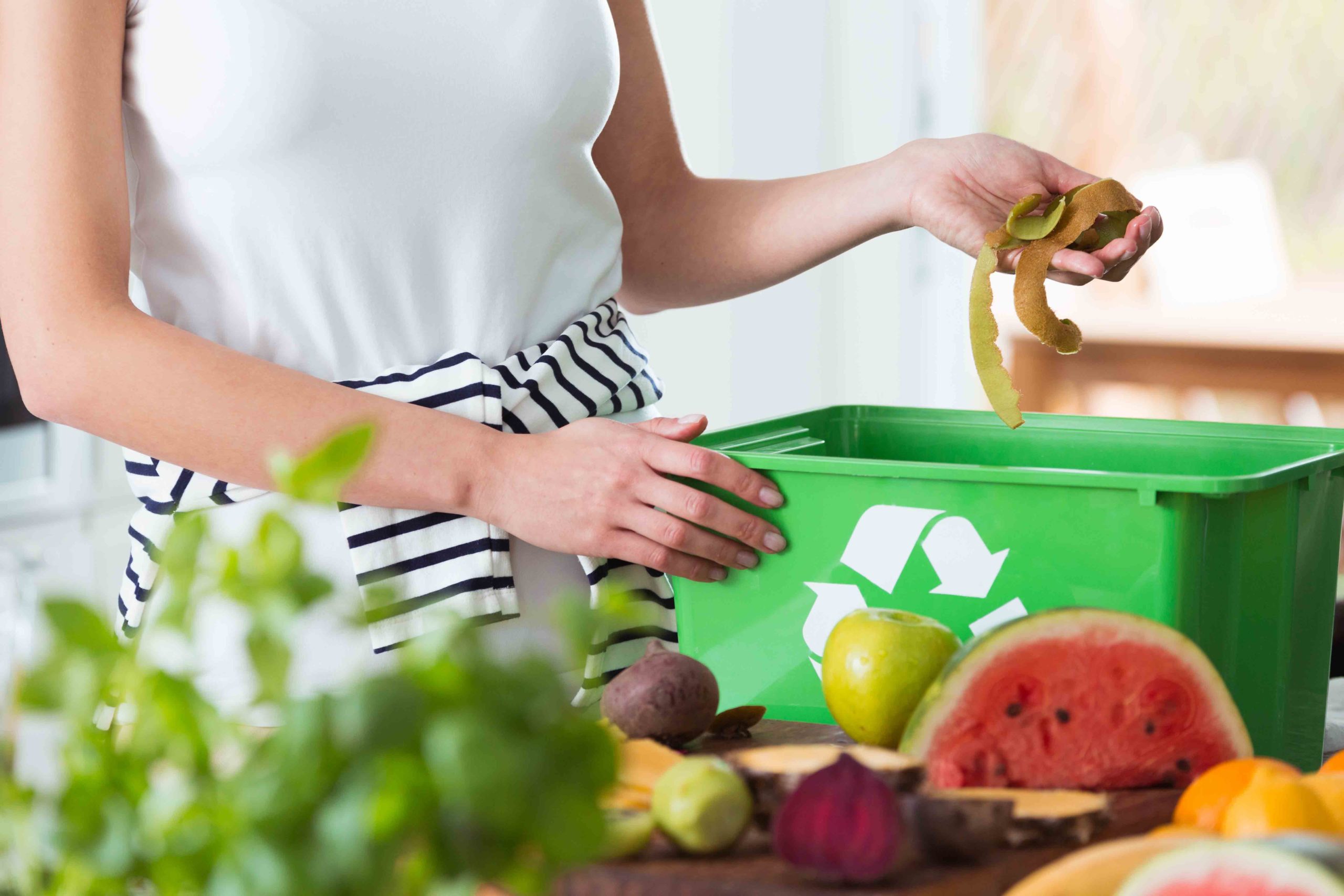 Composting food waste - what you need to know - Recycle Track Systems