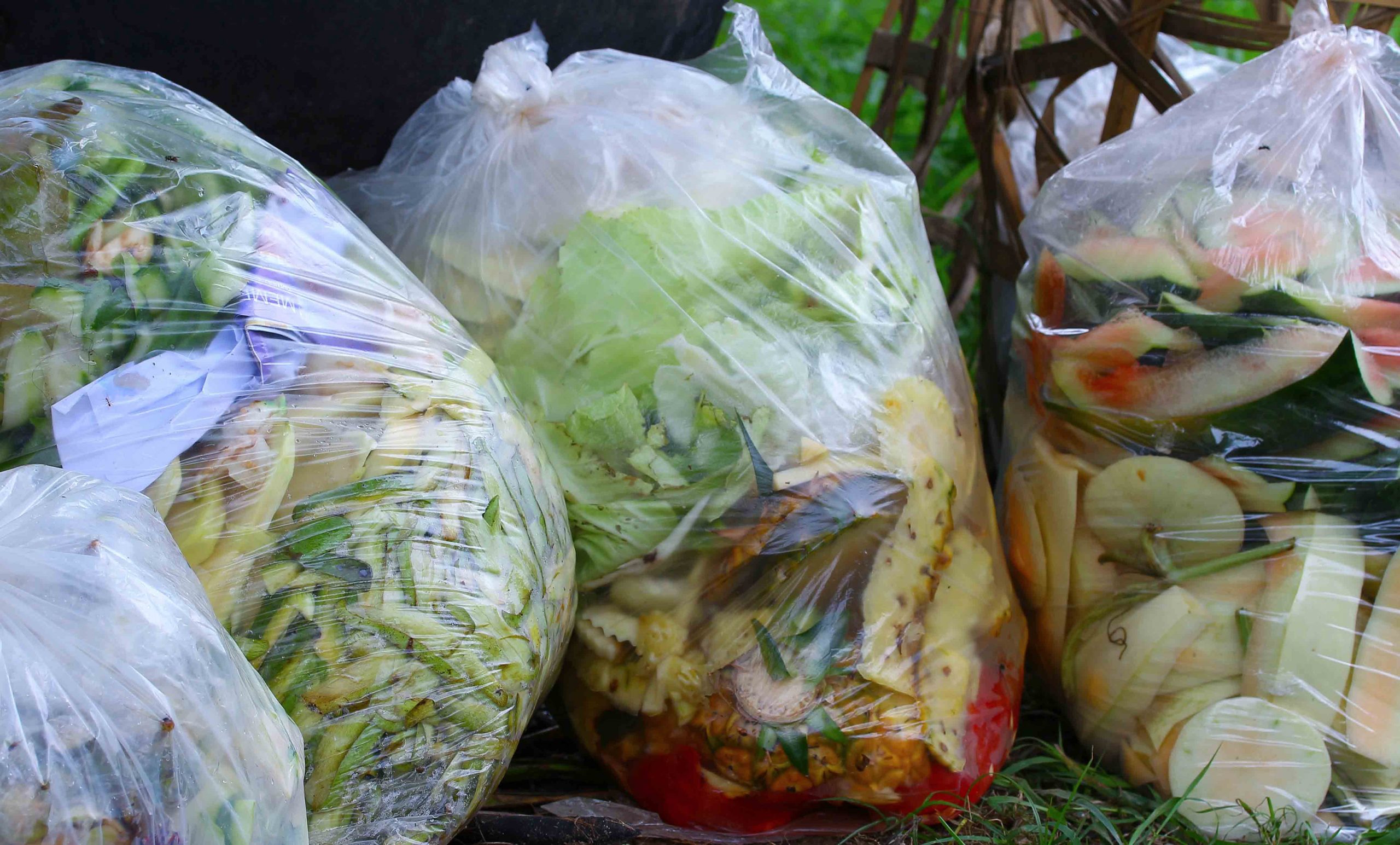 What are cities doing about food waste? - Recycle Track Systems