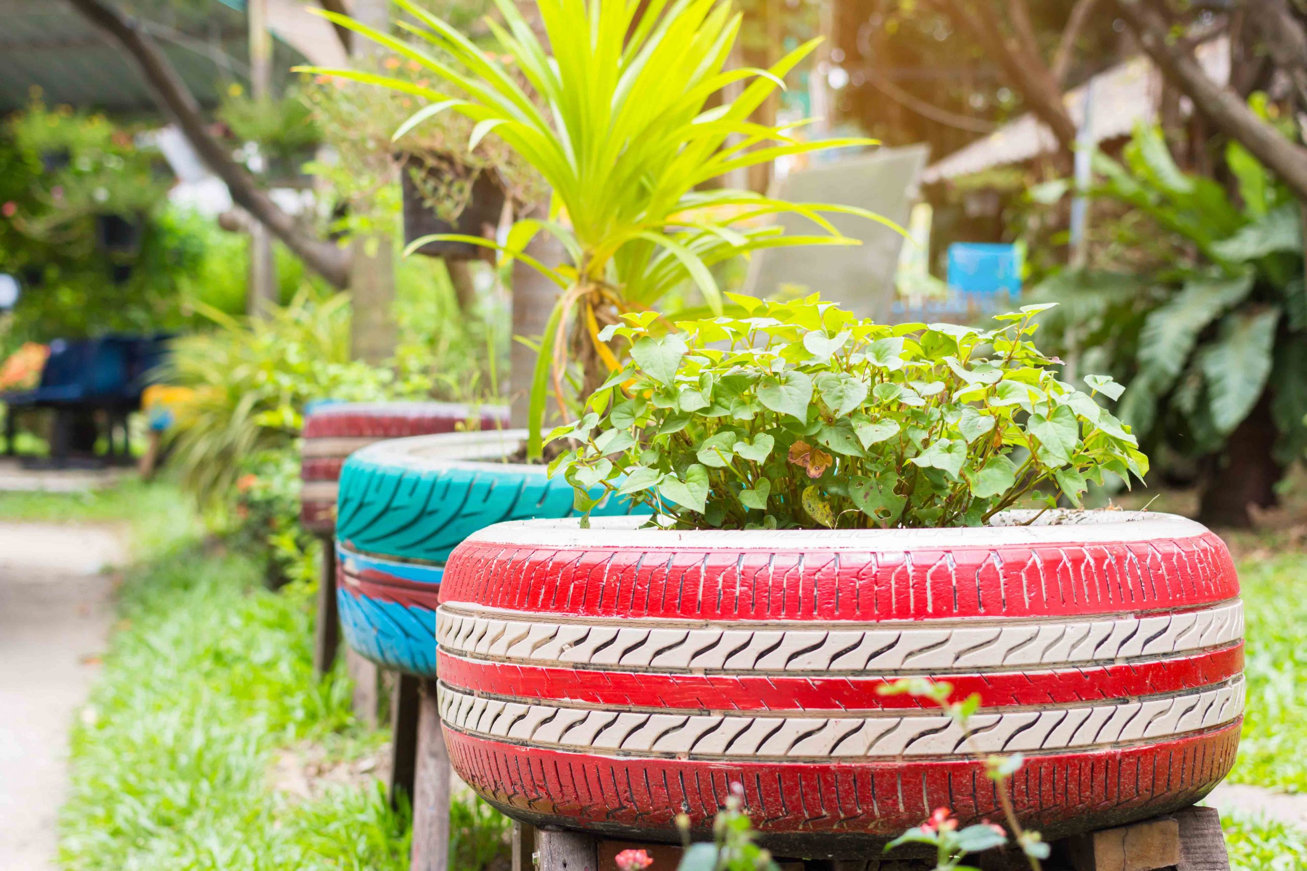 The Recycled Garden — Turning Waste into Wildflowers | RTS