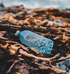 Use of plastic bags to dispose of yard waste banned in Asheville