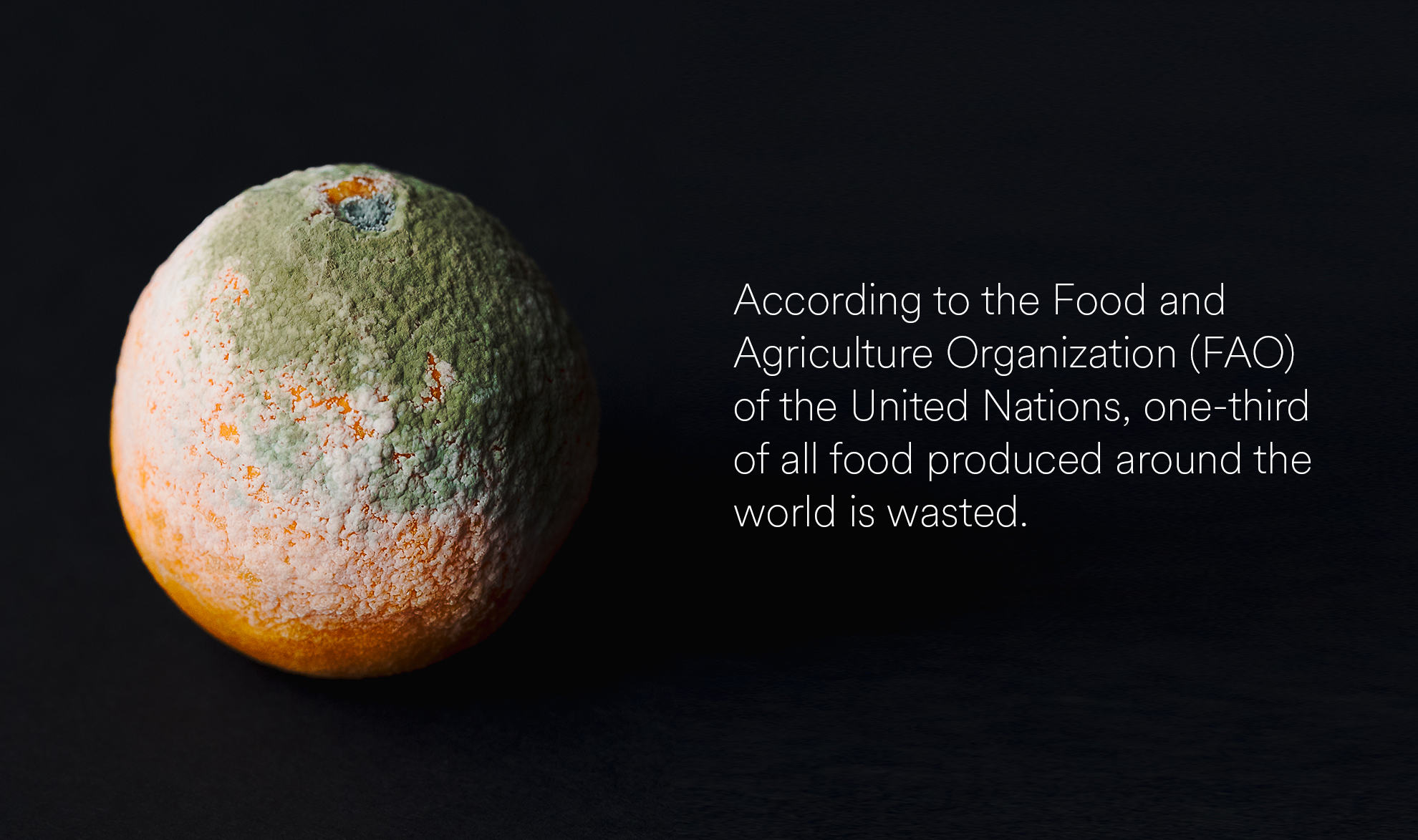 UN Stats of global food waste
