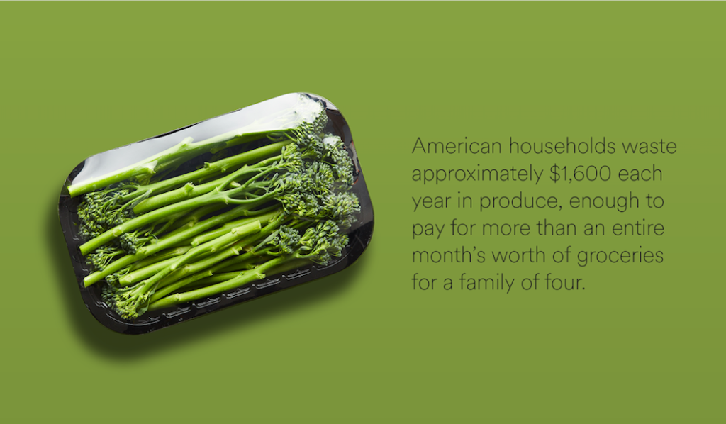 Food Waste in America in 2024 Statistics & Facts RTS