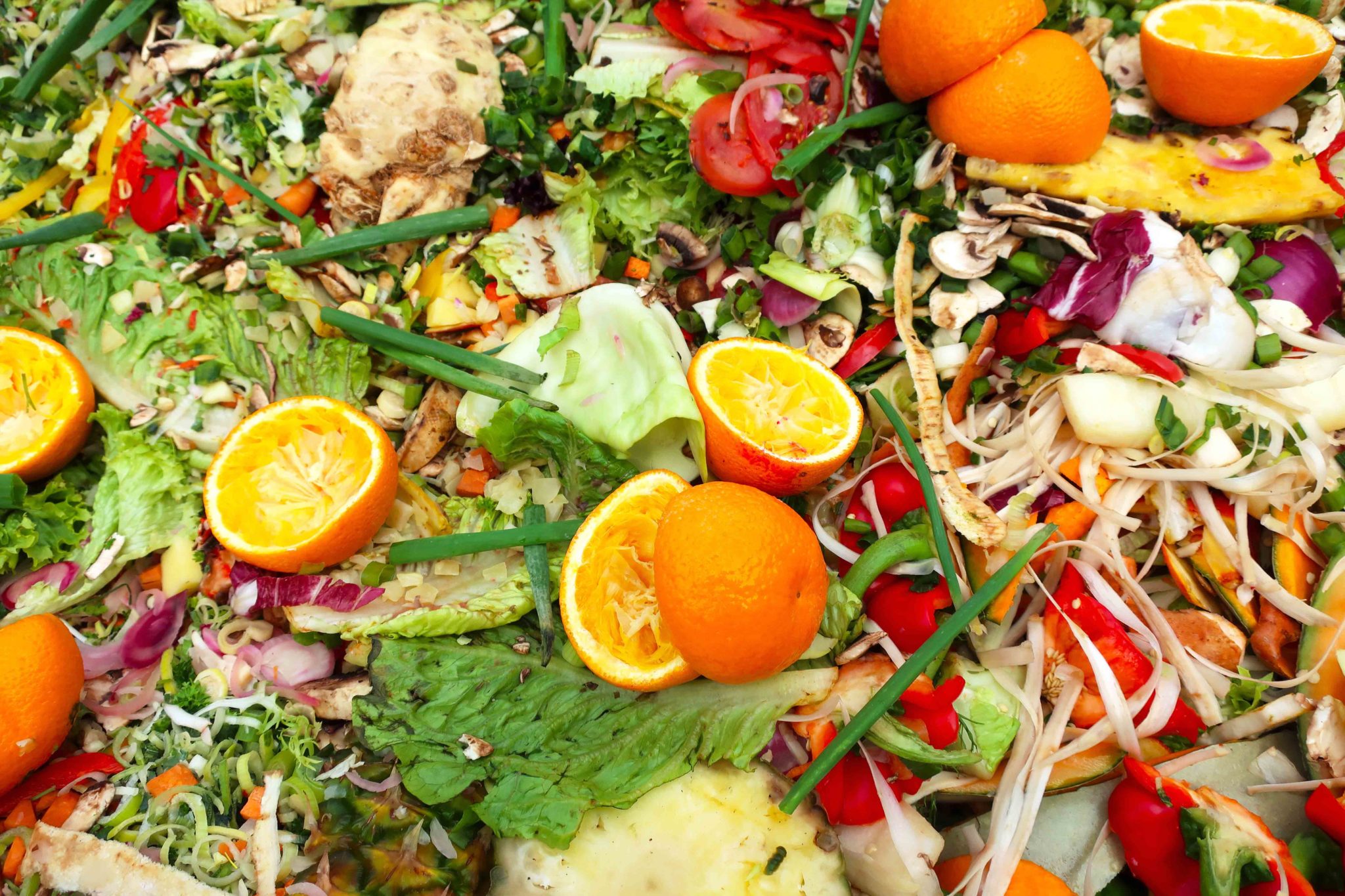 The Pros and Cons of WastetoEnergy RTS