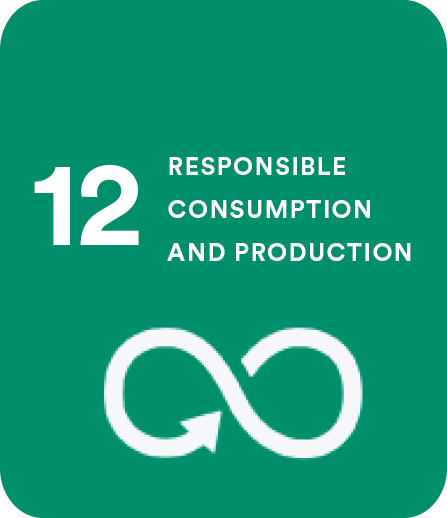 12 Responsible Consumption and Production