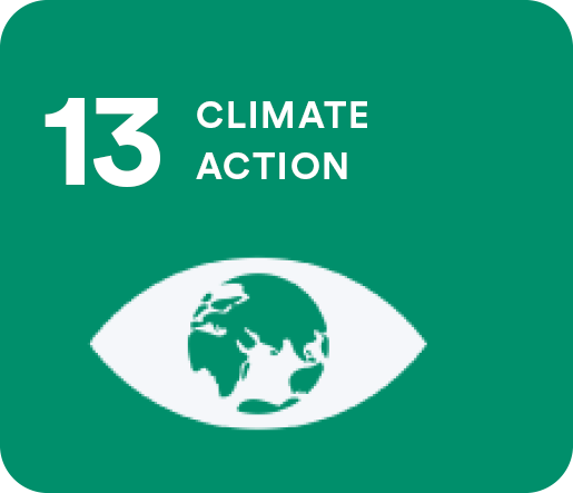 13 Climate Action