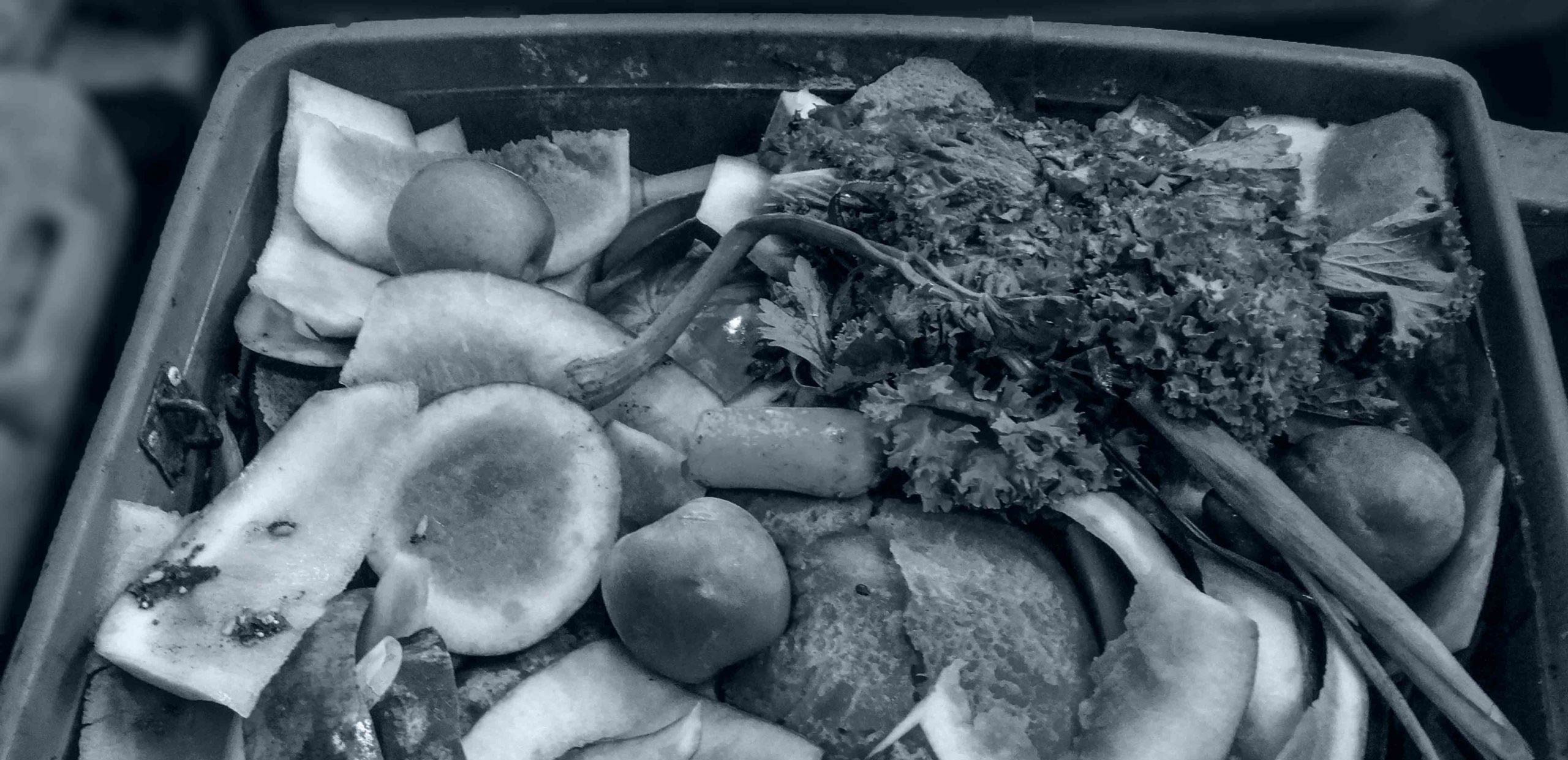 Organic food waste in bin